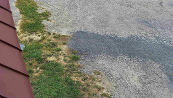 Nástup na běžecké tratě