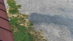 Nástup na běžecké tratě