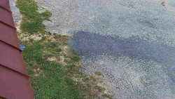 Nástup na běžecké tratě