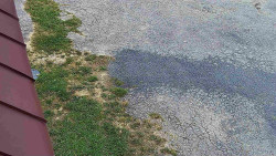 Nástup na běžecké tratě