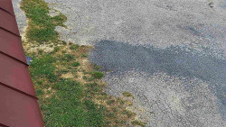 Nástup na běžecké tratě