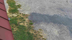 Nástup na běžecké tratě