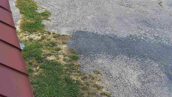 Nástup na běžecké tratě