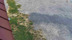 Nástup na běžecké tratě