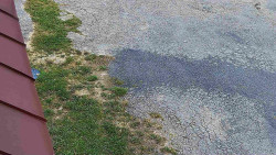 Nástup na běžecké tratě