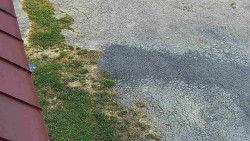 Nástup na běžecké tratě