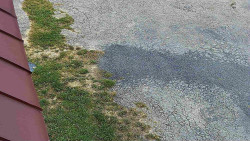 Nástup na běžecké tratě