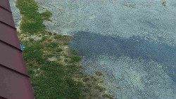 Nástup na běžecké tratě