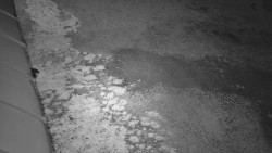 Nástup na běžecké tratě