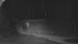 Nástup na běžecké tratě