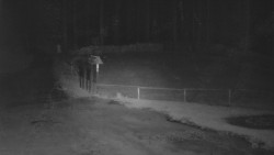 Nástup na běžecké tratě