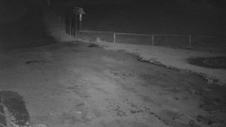 Nástup na běžecké tratě