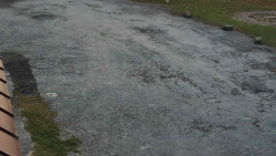 Nástup na běžecké tratě