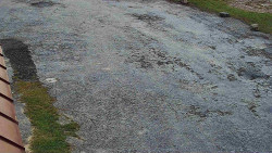 Nástup na běžecké tratě