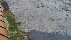 Nástup na běžecké tratě