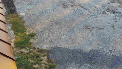 Nástup na běžecké tratě