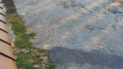 Nástup na běžecké tratě