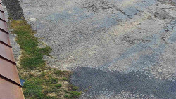 Nástup na běžecké tratě