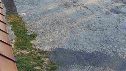 Nástup na běžecké tratě