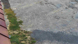 Nástup na běžecké tratě