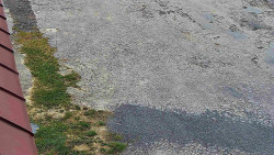 Nástup na běžecké tratě