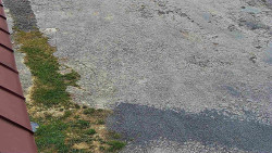 Nástup na běžecké tratě