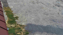 Nástup na běžecké tratě