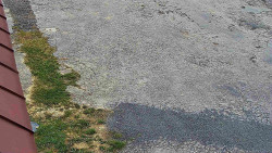 Nástup na běžecké tratě