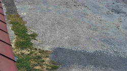 Nástup na běžecké tratě