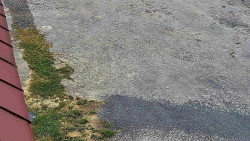 Nástup na běžecké tratě