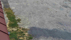 Nástup na běžecké tratě