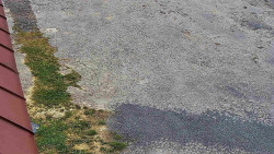 Nástup na běžecké tratě