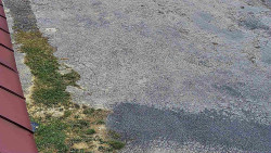 Nástup na běžecké tratě