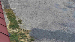 Nástup na běžecké tratě