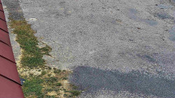 Nástup na běžecké tratě