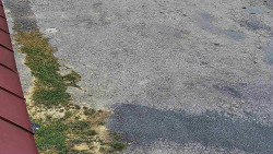 Nástup na běžecké tratě