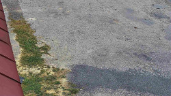 Nástup na běžecké tratě