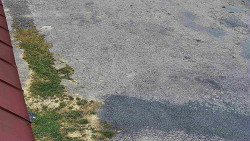 Nástup na běžecké tratě