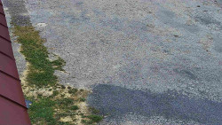 Nástup na běžecké tratě