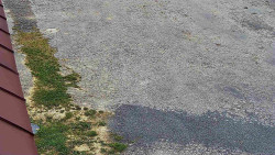 Nástup na běžecké tratě