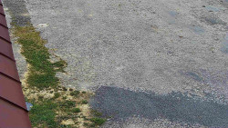 Nástup na běžecké tratě