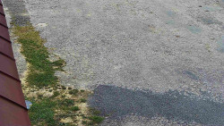 Nástup na běžecké tratě