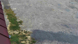 Nástup na běžecké tratě