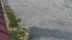 Nástup na běžecké tratě