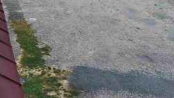 Nástup na běžecké tratě