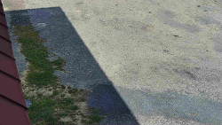 Nástup na běžecké tratě