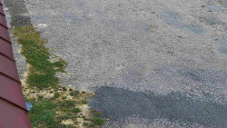 Nástup na běžecké tratě