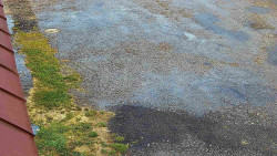 Nástup na běžecké tratě