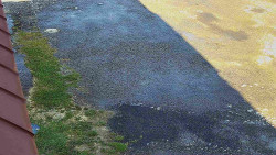 Nástup na běžecké tratě