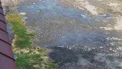 Nástup na běžecké tratě